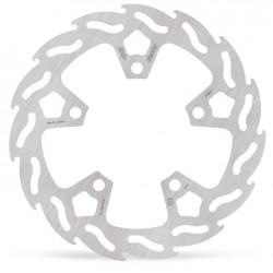BRAKE DISC FLAME FIXED REAR CF - 17105308 | Dr Rider