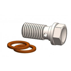 BANJO BOLT M8 X 1 00mm W 2 WAS - 17420816 | Dr Rider