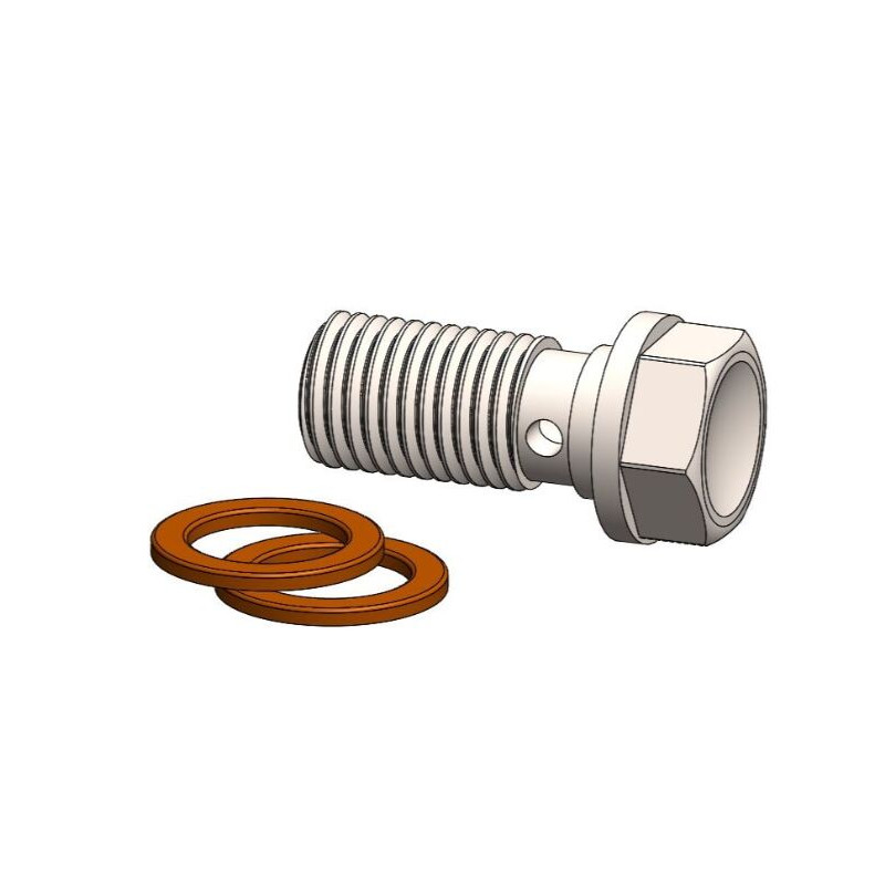 BANJO BOLT M8 X 1 00mm W 2 WAS - 17420816 | Dr Rider