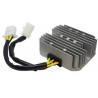 Régulateur TECNIUM by DZE MOSFET