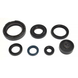 ENGINE OIL SEALS KIT - 09343058 | Dr Rider