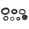ENGINE OIL SEALS KIT - 09343058 | Dr Rider