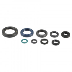 ENGINE OIL SEALS KIT - 09343060 | Dr Rider