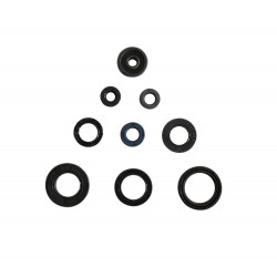 ENGINE OIL SEALS KIT - 09343062