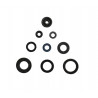 ENGINE OIL SEALS KIT - 09343062