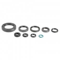ENGINE OIL SEALS KIT - 09343065 | Dr Rider