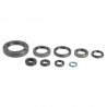 ENGINE OIL SEALS KIT - 09343065 | Dr Rider