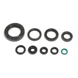 ENGINE OIL SEALS KIT - 09343065 | Dr Rider