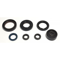 ENGINE OIL SEALS KIT - 09343066 | Dr Rider
