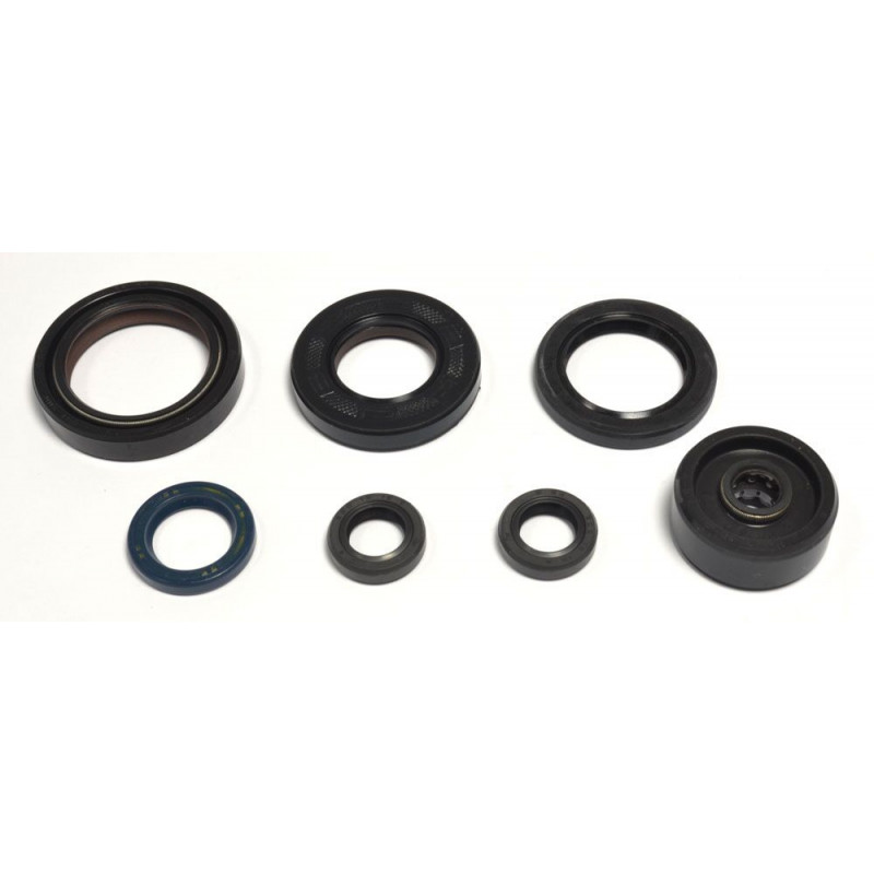 ENGINE OIL SEALS KIT - 09343066 | Dr Rider