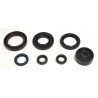 ENGINE OIL SEALS KIT - 09343066 | Dr Rider