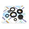 ENGINE OIL SEALS KIT - 09343066 | Dr Rider