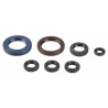 ENGINE OIL SEALS KIT - 09343067 | Dr Rider