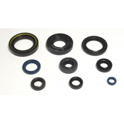 ENGINE OIL SEALS KIT - 09343068 | Dr Rider