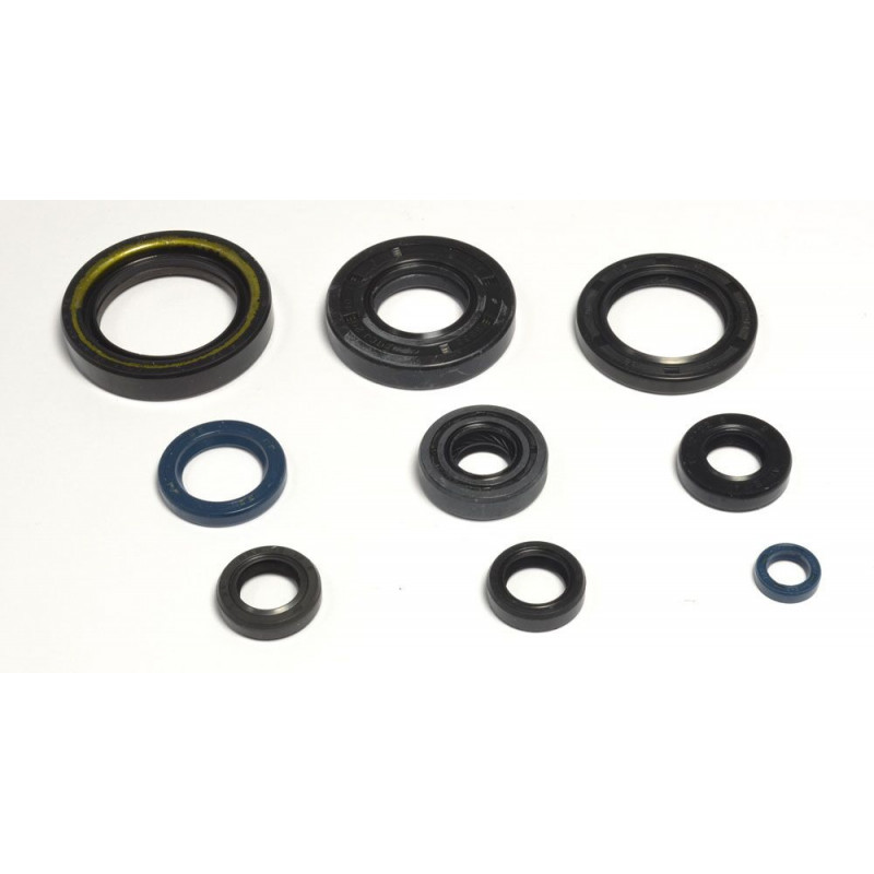 ENGINE OIL SEALS KIT - 09343068 | Dr Rider