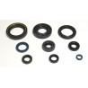 ENGINE OIL SEALS KIT - 09343068 | Dr Rider