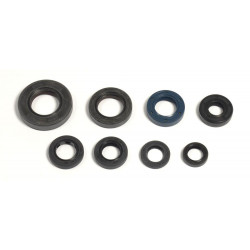 ENGINE OIL SEALS KIT - 09343069 | Dr Rider