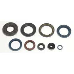 ENGINE OIL SEALS KIT - 09343071