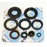 ENGINE OIL SEALS KIT - 09343071