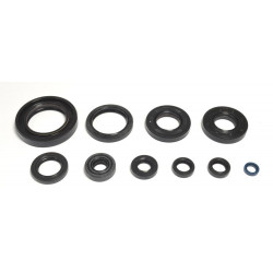 ENGINE OIL SEALS KIT - 09343073 | Dr Rider