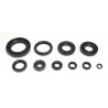 ENGINE OIL SEALS KIT - 09343073 | Dr Rider