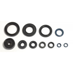 ENGINE OIL SEALS KIT - 09343074 | Dr Rider
