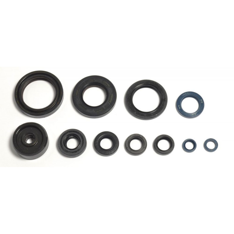 ENGINE OIL SEALS KIT - 09343074 | Dr Rider