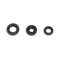 ENGINE OIL SEALS KIT - 09343076 | Dr Rider