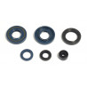 ENGINE OIL SEALS KIT - 09343078 | Dr Rider