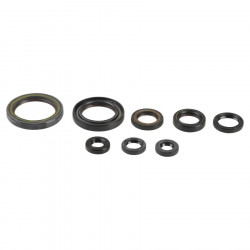 ENGINE OIL SEALS KIT - 09343079 | Dr Rider