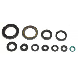ENGINE OIL SEALS KIT - 09343080 | Dr Rider