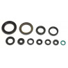ENGINE OIL SEALS KIT - 09343080 | Dr Rider