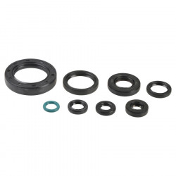 ENGINE OIL SEALS KIT - 09343081 | Dr Rider