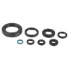ENGINE OIL SEALS KIT - 09343081 | Dr Rider