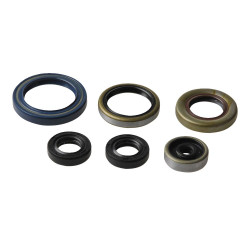 ENGINE OIL SEALS KIT - 09343083 | Dr Rider