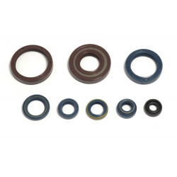 ENGINE OIL SEALS KIT - 09343084