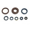 ENGINE OIL SEALS KIT - 09343084