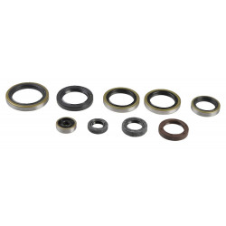 ENGINE OIL SEALS KIT - 09343085