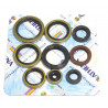 ENGINE OIL SEALS KIT - 09343085