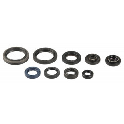 ENGINE OIL SEALS KIT - 09343086