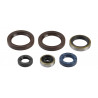 ENGINE OIL SEALS KIT - 09343087