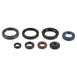 ENGINE OIL SEALS KIT - 09343088
