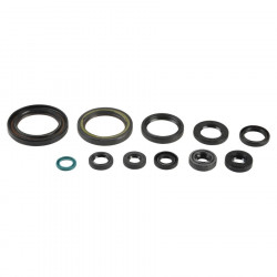 ENGINE OIL SEALS KIT - 09343090 | Dr Rider