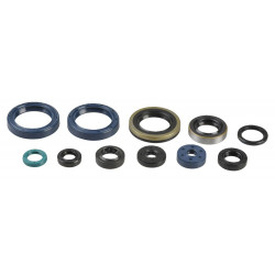 ENGINE OIL SEALS KIT - 09343091 | Dr Rider