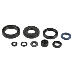 ENGINE OIL SEALS KIT - 09343092 | Dr Rider