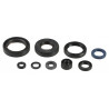ENGINE OIL SEALS KIT - 09343092 | Dr Rider