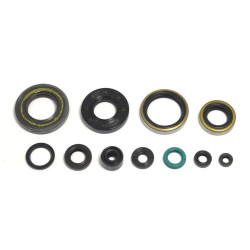 ENGINE OIL SEALS KIT - 09343093 | Dr Rider
