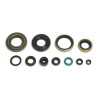 ENGINE OIL SEALS KIT - 09343093 | Dr Rider