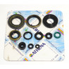ENGINE OIL SEALS KIT - 09343093 | Dr Rider