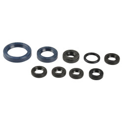 ENGINE OIL SEALS KIT - 09343094 | Dr Rider
